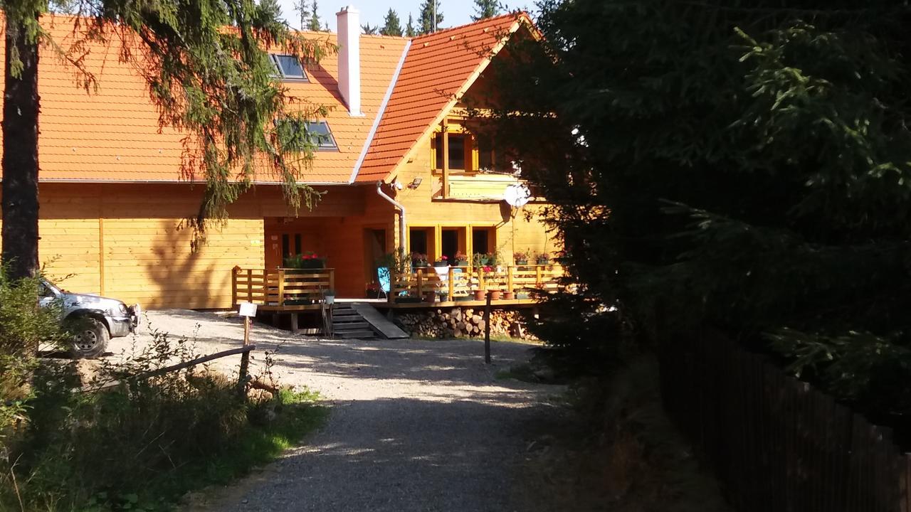 Bed and Breakfast Mofetta Panzio Sintimbru-Bai Exterior foto
