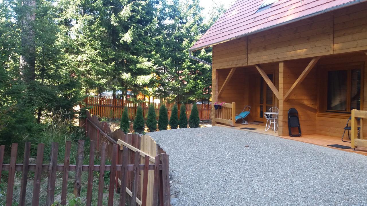 Bed and Breakfast Mofetta Panzio Sintimbru-Bai Exterior foto