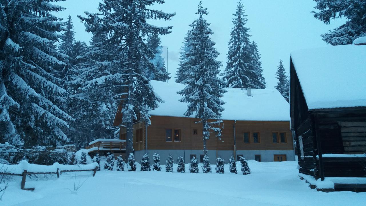 Bed and Breakfast Mofetta Panzio Sintimbru-Bai Exterior foto