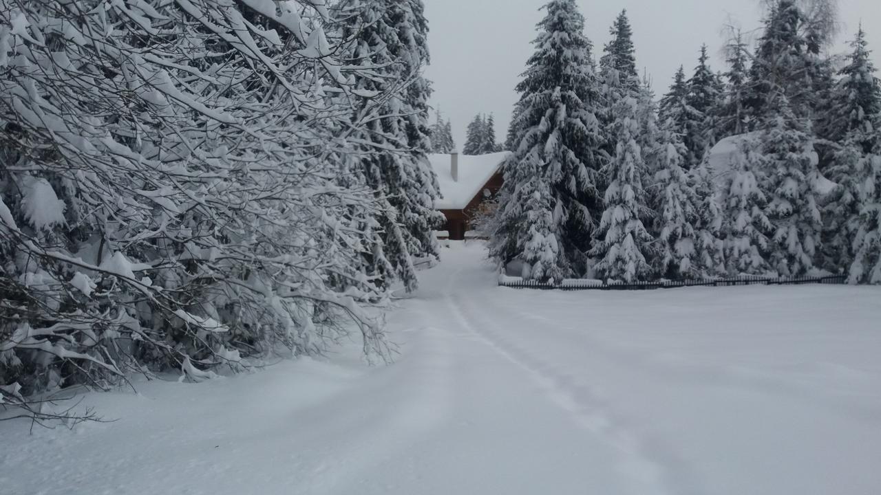 Bed and Breakfast Mofetta Panzio Sintimbru-Bai Exterior foto